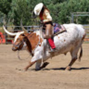 Meet your Posher, Blizzard